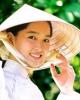 Sách hướng dẫn du lịch Việt Nam: Marketing du lịch
