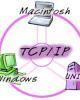 TCP/IP Illustrated P1