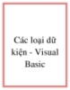 Các loại dữ kiện - Visual Basic