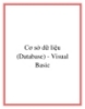 Cơ sở dữ liệu (Database) - Visual Basic