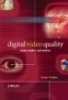 Digital video quality vision models and metrics