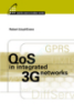 QoS in Integrated 3G Networks