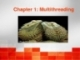 Chapter 1: Multithreading
