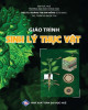 Giáo trình Sinh lý thực vật: Phần 2 - PGS.TS. Hoàng Thị Kim Hồng