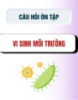 Câu hỏi ôn tập môn Vi sinh môi trường