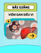 Bài giảng Viêm gan siêu vi - ThS. BS. Đoàn Thị Mỹ Duyên