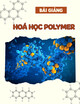 Bài giảng Hoá học Polymer: Chương 6 - Nguyễn Văn Quý
