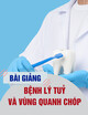 Bài giảng môn Bệnh lý tủy và vùng quanh chóp