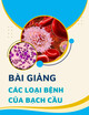 Bài giảng Các loại bệnh của bạch cầu