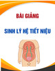 Bài giảng Sinh lý hệ tiết niệu - TS. Trần Thái Thanh Tâm