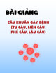 Bài giảng Cầu khuẩn gây bệnh (tụ cầu, liên cầu, phế cầu, lậu cầu)